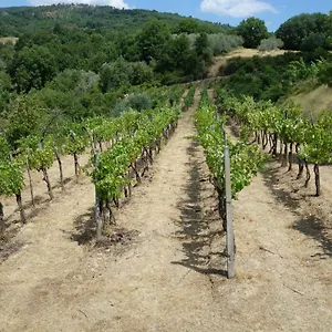 https://la-collina-di-piero.it-tuscanyhotel.com
